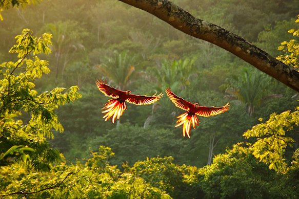Costa Rica sets the highest standard for nature-focused travel.