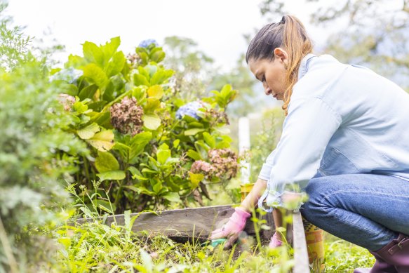 All too often plants and plantings don’t turn out the way we’d hoped.