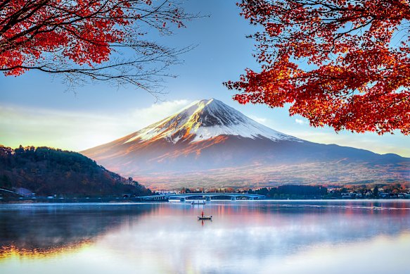 Crisp red maples frame the timeless silhouette of Mount Fuji.