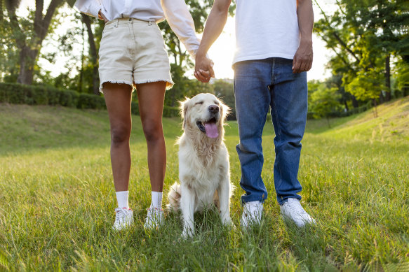Australian Psychology Society chief executive Dr Zena Burgess says going for a walk can help bring you in touch with the “bigger picture of life”. 