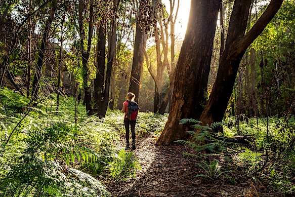 Walking in nature has mental health, physical health and longevity benefits, says Dr Tara Swart.