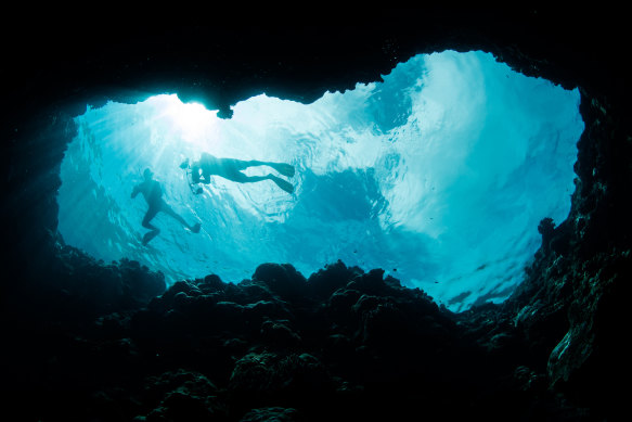 Exploring Palau.