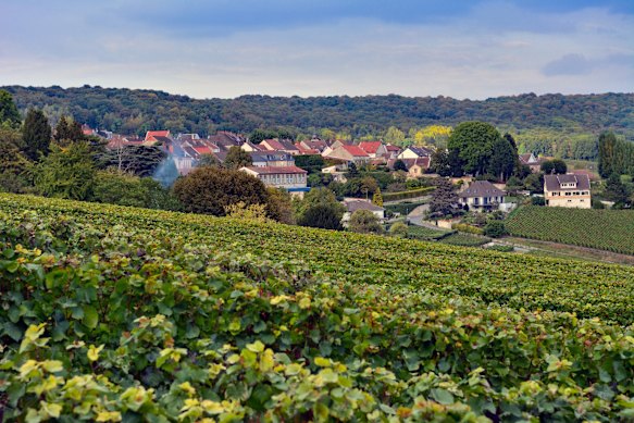 Dom Perignon lived in the quaint village of Hautvillers, in the region of Champagne.