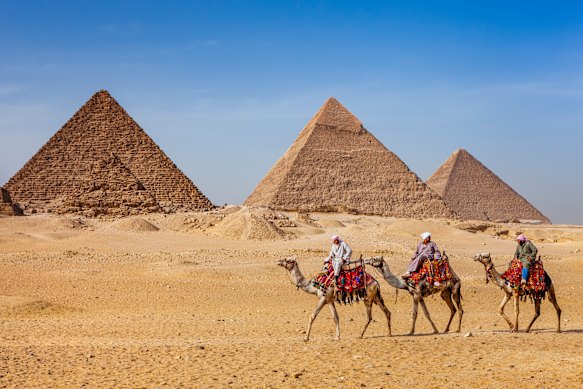 Bedouins riding on camels, pyramids in the background, at Giza, Egypt. 
