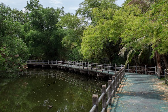 Bang Krachao bicycle track in the Sri Nakhon Khuean Khan Park and Botanical Garden.
