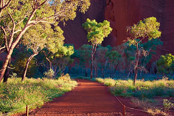 Dawn lights up a track and eucalyptus at the base of Uluru, Northern Territory.