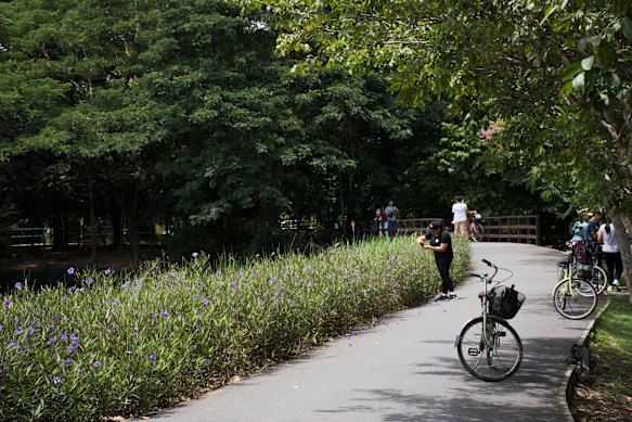 Some rental bikes are a bit rough around the edges.