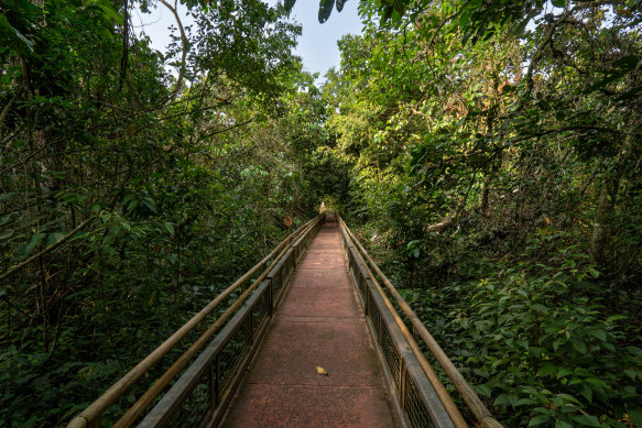 A walkway around the falls in Iguazu National Park.