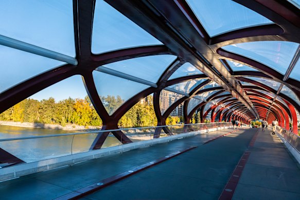 Scenery from Peace Bridge during the warmer months.