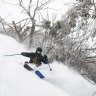 A polar storm brings excitment to Mt Buller. Photo by Tony Harrington NEWS 9 August 2019. COLD WEATHER