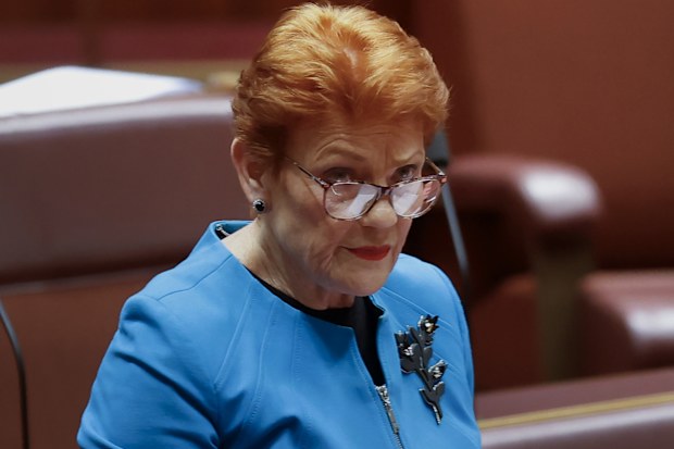 One Nation Leader Pauline Hanson addresses the Senate.