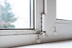Mould on the window frame in the house