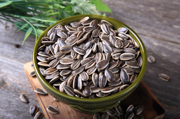 Sunflower seeds in a bowl
