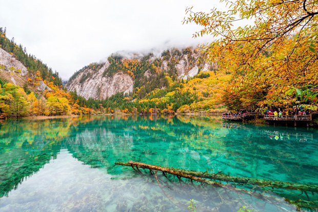Beautiful autumn scenic view at five flower lake in jiuzhaigou national park