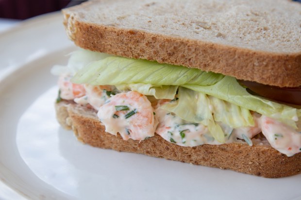 Stock image of a prawn sandwich