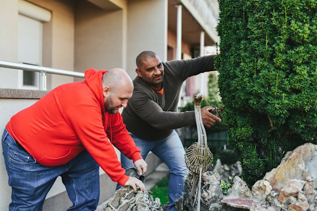 Hard Working Husbands Spending Weekend Working in Their Yard Together