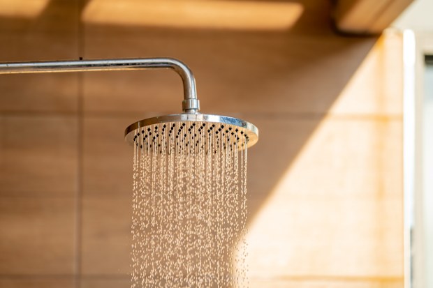 Outdoor shower head for the bath