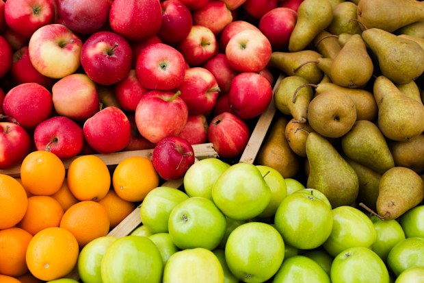 Stock image of apples, pears and oranges