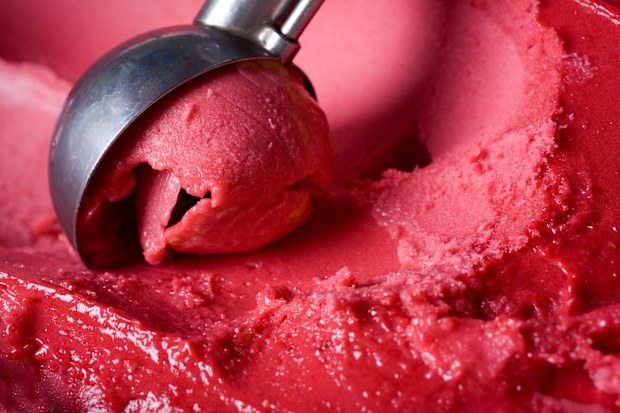 Stock image of sorbet being scooped