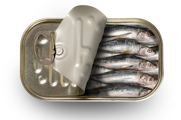 Tinned sardines have been missing from shelves.