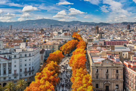 Autumnal foliage line the streets of La Rambla.
