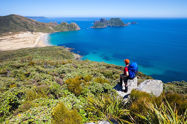 A hiker stands at a lookout on a cliff at Rakiura National Park, Stuart Island, New Zealand