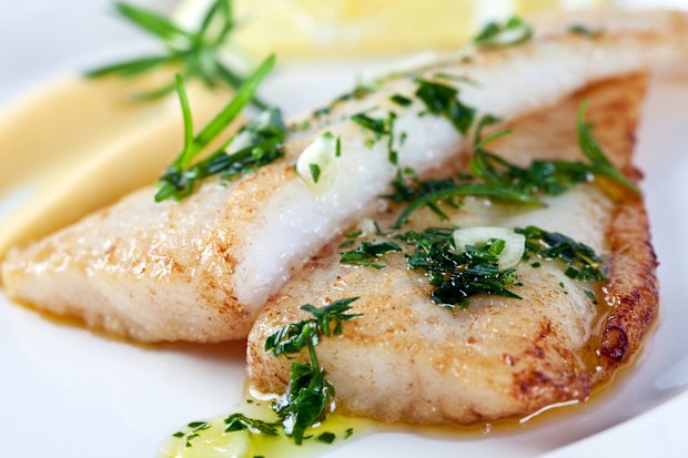 Fillet of white fish with parsley, garlic, olive oil and lemon sauce fried fish