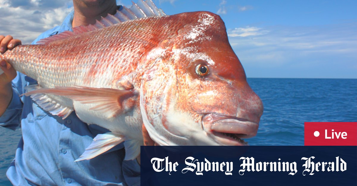 WA news LIVE: Tougher restrictions on cards for WA demersal fishers; Alarming rise in pedestrian deaths; WA local government election results