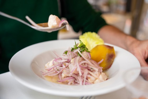 eating ceviche at a street market eatery in Mercado #1 in Surquillo, Lima, Peru