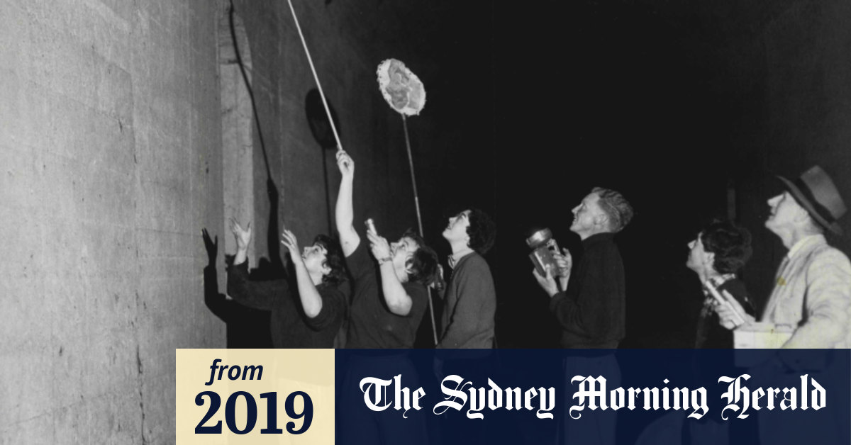 From the Archives, 1960: "Bat hunt" in North Sydney rail ...