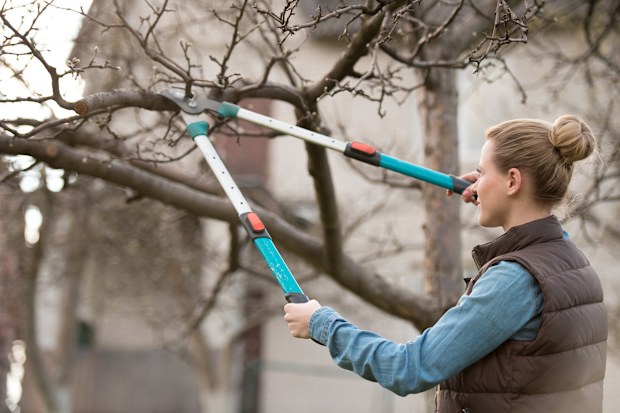 Young woman taking care of garden, Cutting tree branch