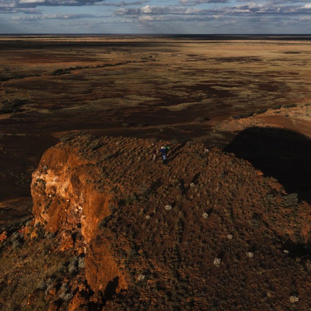 Looking out to grasslands in far west Queensland – the feeding grounds of a night parrot population.