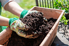 Potting mix is best fresh from an unopened bag, but an open bag can be OK if stored well, and it’s less than a year old.