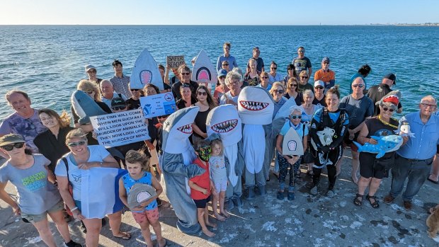 Cockburn council moves to give shark hunting ban teeth