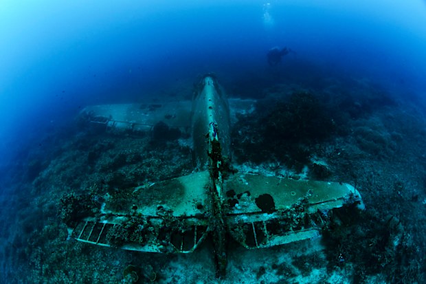 This well-preserved Hellcat aircraft wreck stands out as one of the Solomon Islands’ most easily reachable airplane wrecks.