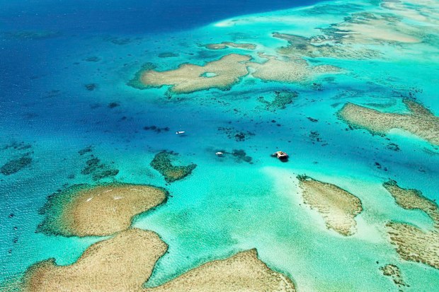 Tropical Fiji is a perfect place to cruise.