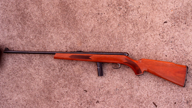 A .22 calibre semi-automatic rifle.