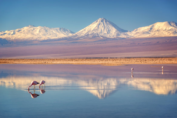 Atacama… Chile’s landscapes are wildly diverse.