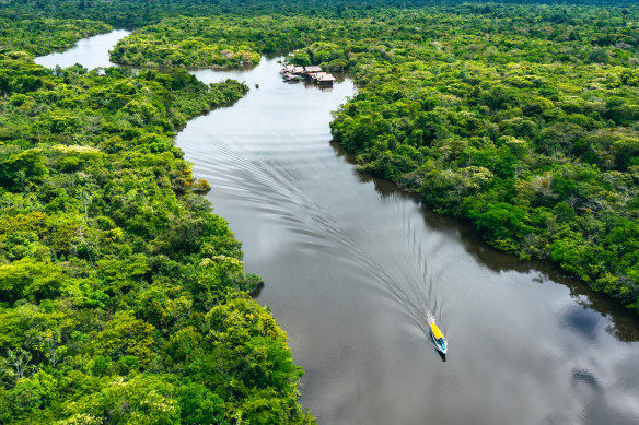 The 6400km Amazon River is too jungly to have a single bridge across it. 