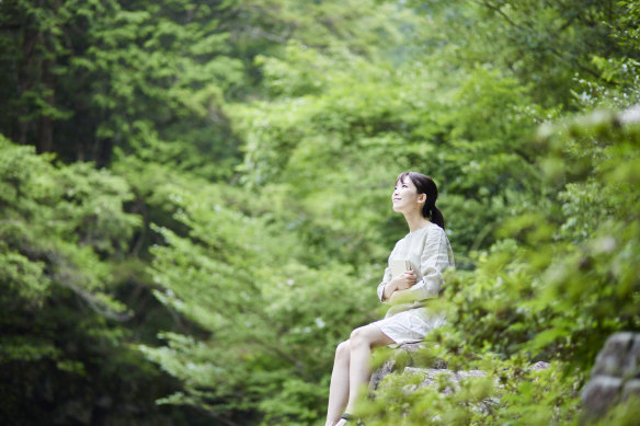 Forest bathing is said to have been invented in Japan in the 1980s.