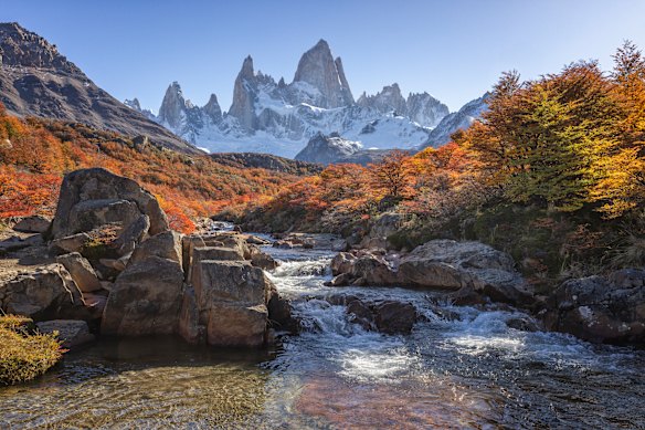 April foliage on the Laguna de los Tres trail.