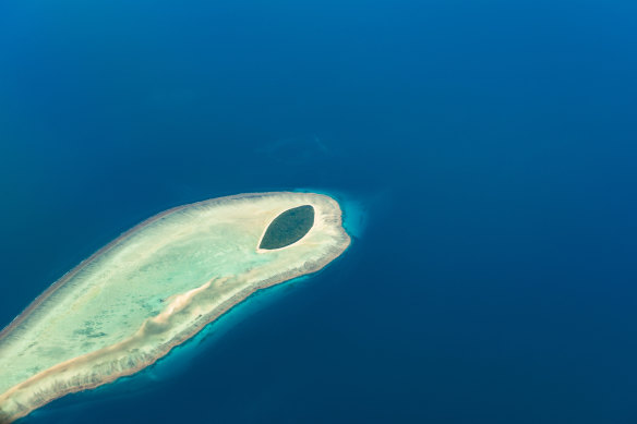 Experiences, like my field trip to North West Island, become your idea of paradise in adult life.
