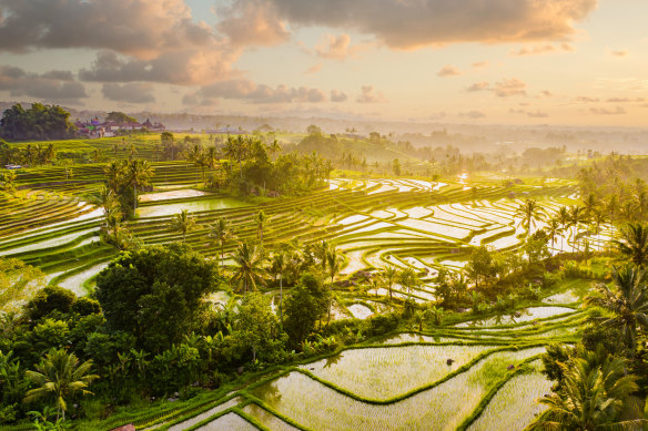 Jatiluwih’s ancient terraced topography is thought to date from the 11th century.