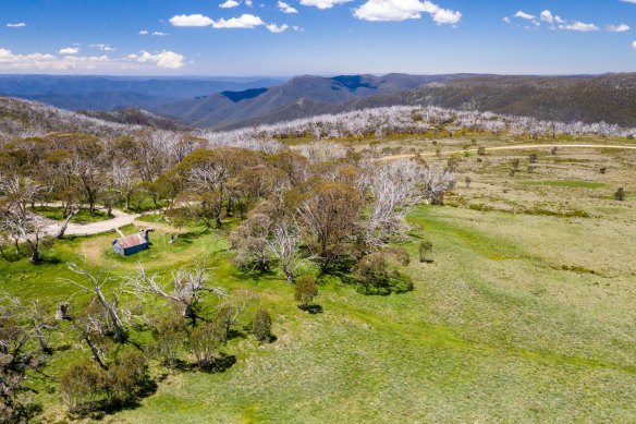 The bushwalker was found on the Howitt Plains.