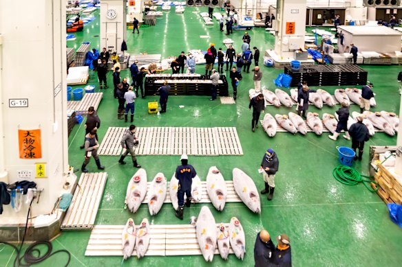 Mercado Toyosu, Tóquio.… um mercado atacadista imperdível.