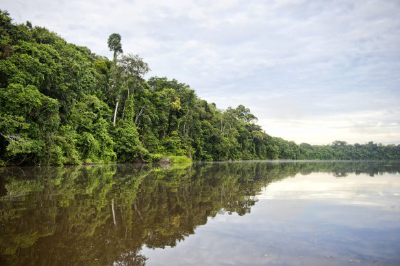 The Tambopata River has become a dumping ground for illegal mining.