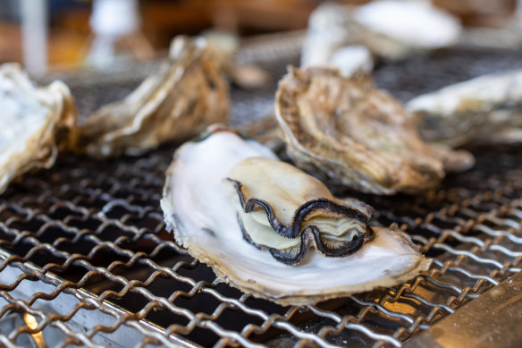 Do it yourself: grilled oysters in Itoshima. 