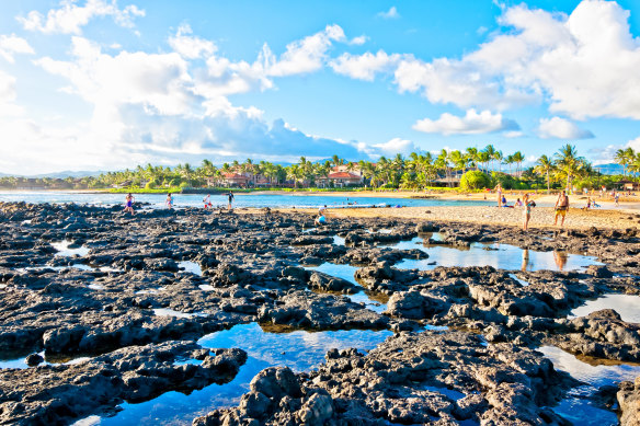 Rockpools at Poipu Beach.