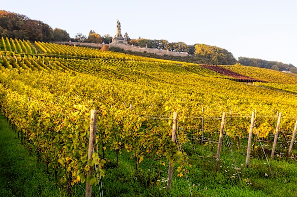 Vineyards with the Niederwald monument rising above.