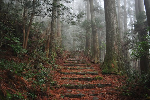 Matsumoto Pass is part of Kodo Kumano.